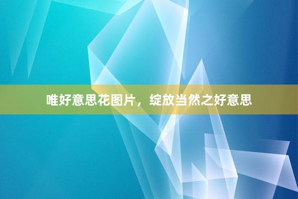 唯好意思花图片，绽放当然之好意思
