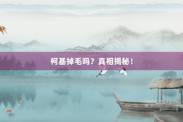 柯基掉毛吗？真相揭秘！